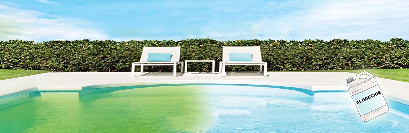 Hóa chất diệt rêu tảo