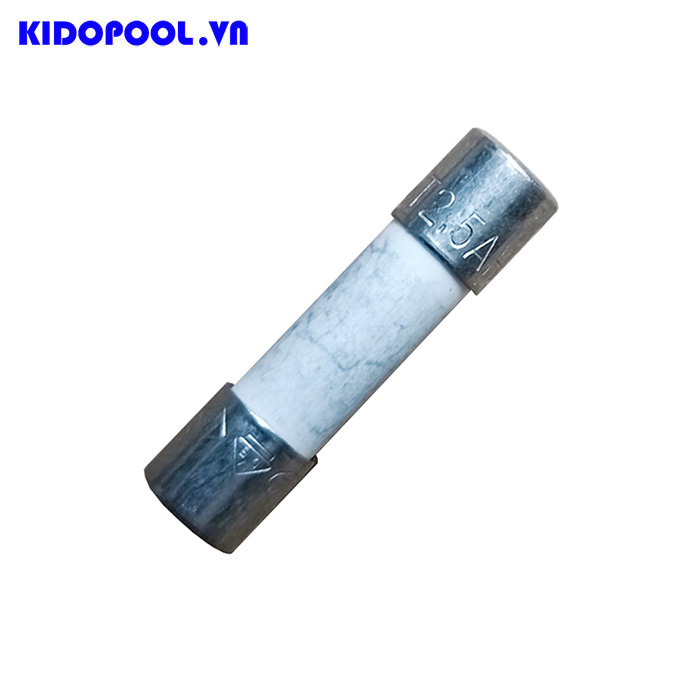 Cầu chì ngoài 2.5A dùng cho điện phân muối Emaux SSC15 - Code E130011
