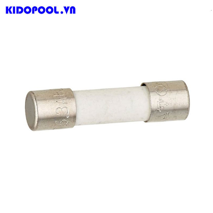 Cầu chì ngoài 6.3A dùng cho Điện phân muối SSC25/SSC50 - Code E130010