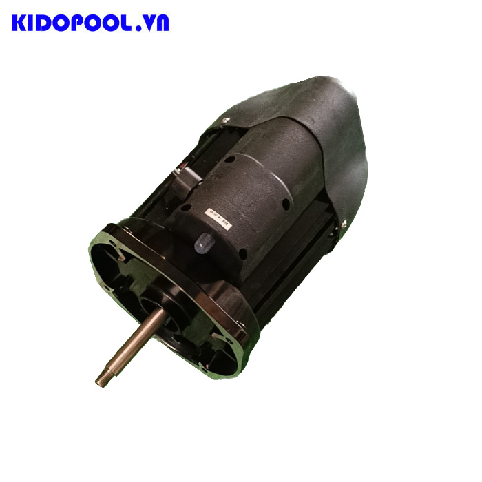 Động cơ máy bơm Emaux SB30 (380V/50Hz) 89021604