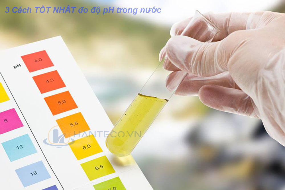 3 cách đo nồng độ pH nhanh chóng, độ chính xác cao cho hồ bơi