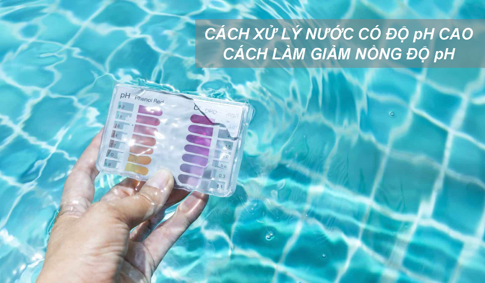 Cách nhanh nhất cho bạn để xử lý nước hồ bơi có độ pH cao