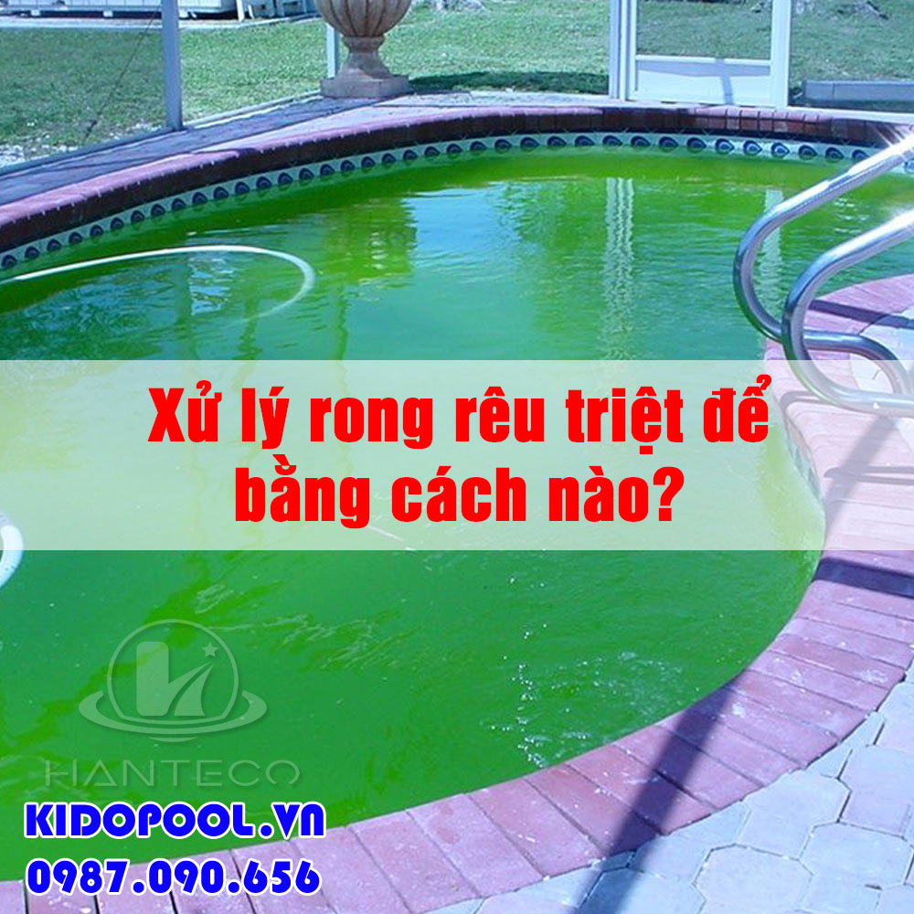 Cách xử lý rong rêu triệt để cho hồ bơi, bể cá cảnh hay nền xi măng nhanh nhất