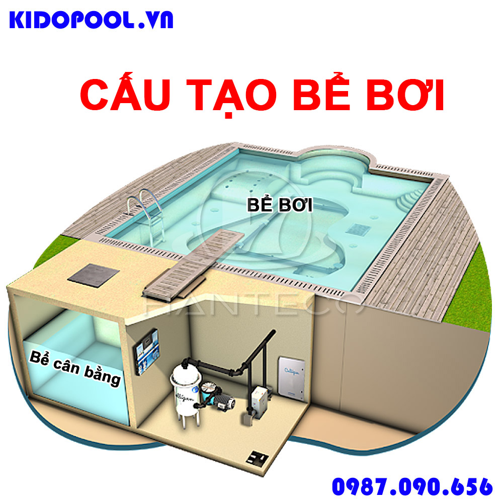 Cấu tạo bể bơi gồm những gì? Tìm hiểu cấu tạo một số bể bơi được xây dựng nhiều nhất hiện nay