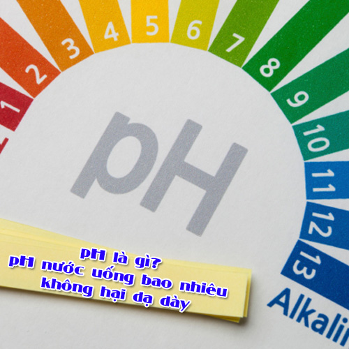 Nồng độ pH là gì? Cách đọc thang đo pH đúng nhất bạn biết chưa?