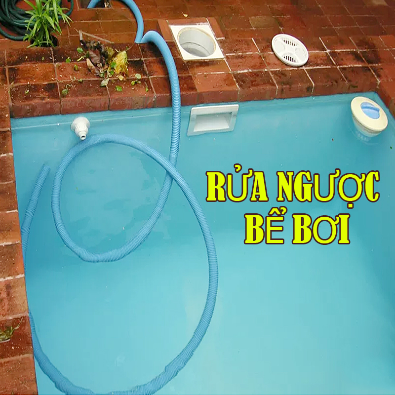 Rửa ngược bể bơi là gì? Cách thực hiện rửa ngược hiệu quả nhất