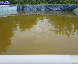 Bật mí cách xử lý nước bể bơi nhiễm sắt hiệu quả an toàn